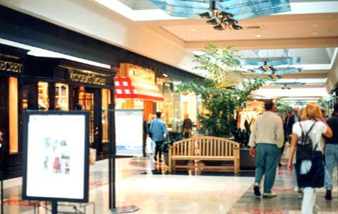 ���V���g���X�N�G�A