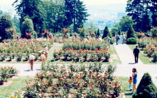 ���ۃo��������