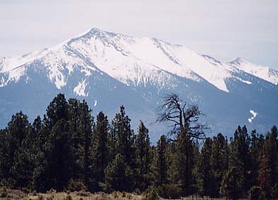 �n���t���[��