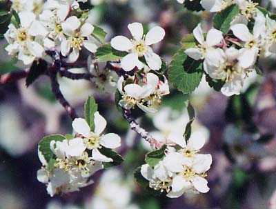 ���^�T�[�r�X�x���[