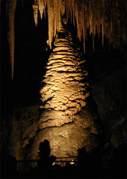 �J�[���X�o�b�h�Β�