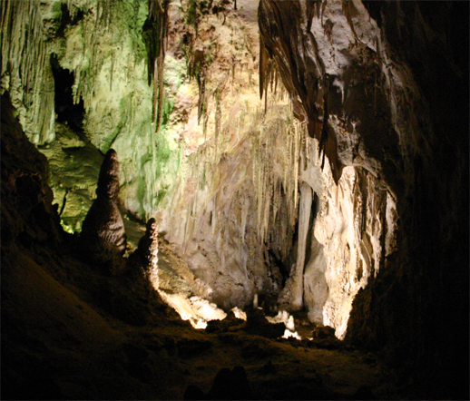 �J�[���X�o�b�h�ߓ���