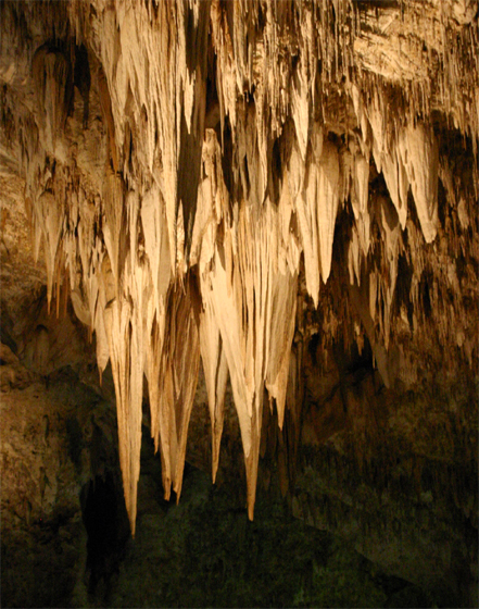 �J�[���X�o�b�h�ߓ���