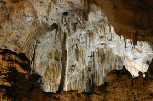 �J�[���X�o�b�h�ߓ���