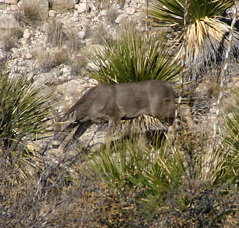 �~���[����