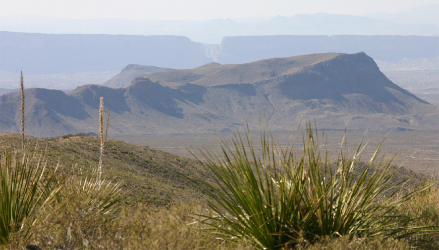 �\�g�[���W�]�䂩��̃L�b�g�}�E���e��