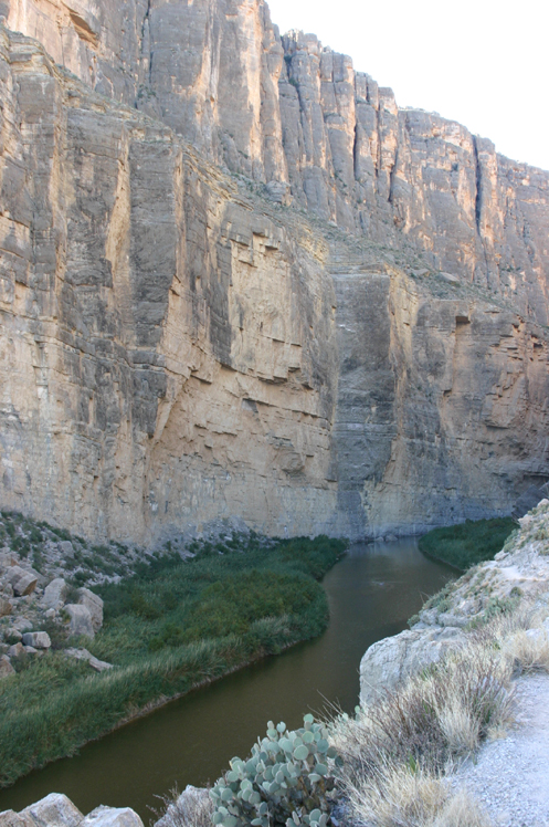 �T���^�G���i�k�J�̃��I�O�����f��