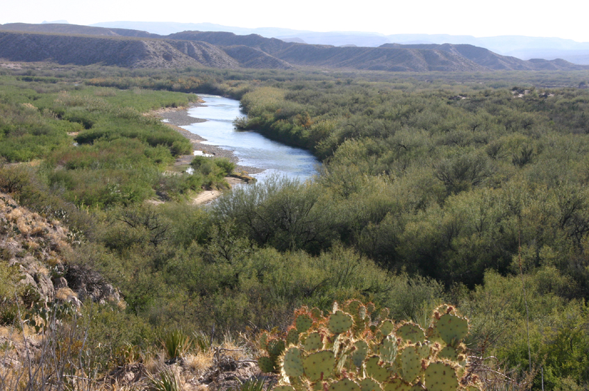 ���I�O�����f