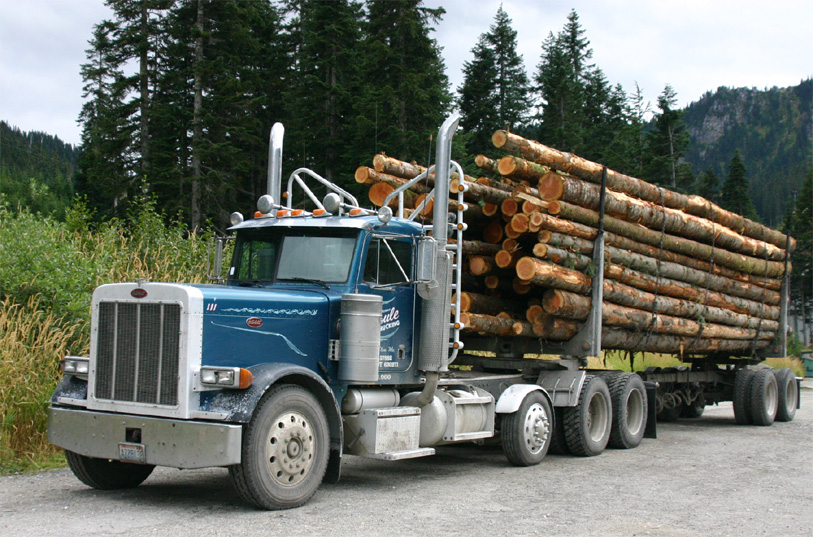 �ޖ؉^���g���C���[