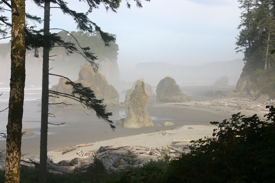 ���r�[�C��