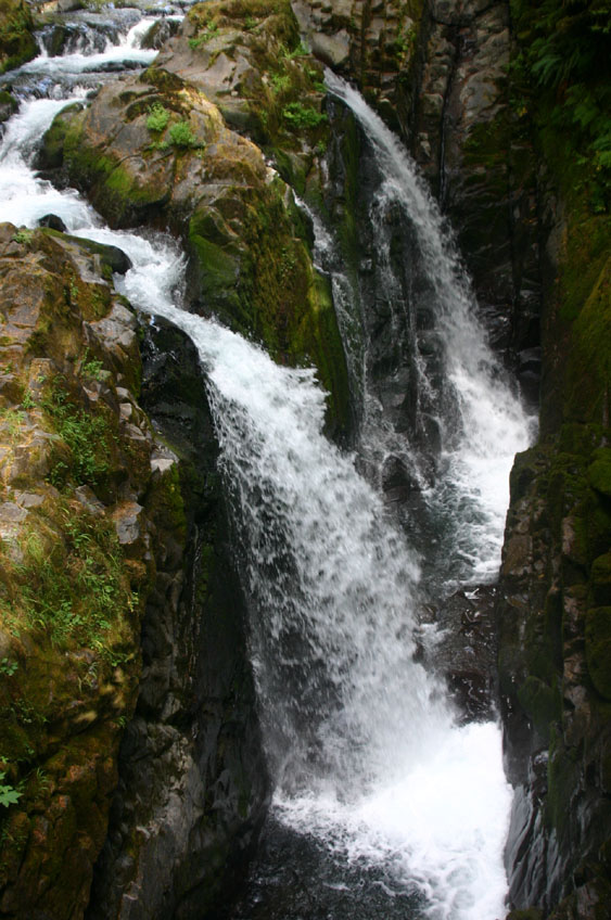 �\���_�b�N��