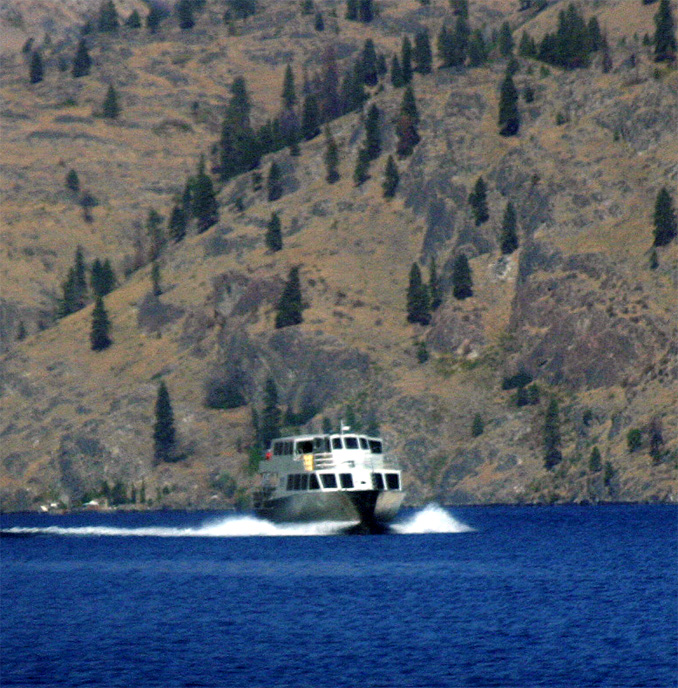 ���f�B�G�L�X�v���X