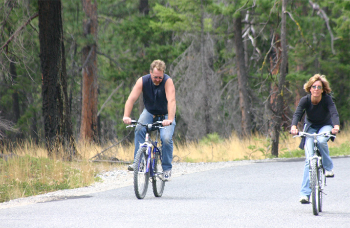 �T�C�N�����O�c�A�[�̐l����