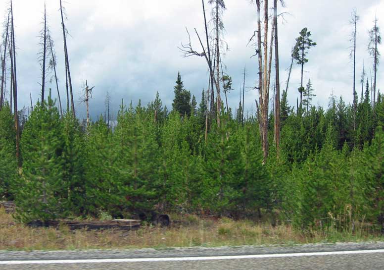 �R�Ύ����Ƃ̍X�V��