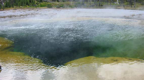 �G�������h�v�[��