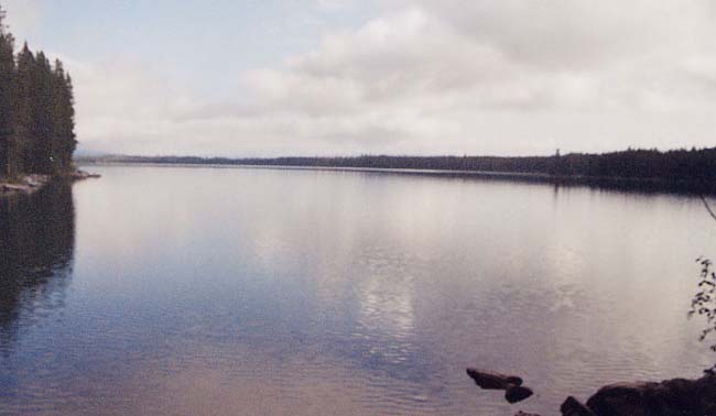 ���[���C�N