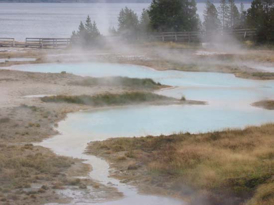 �K�C�U�[�x�C�Y��