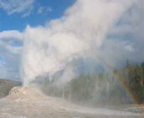 ���C�I���K�C�U�[