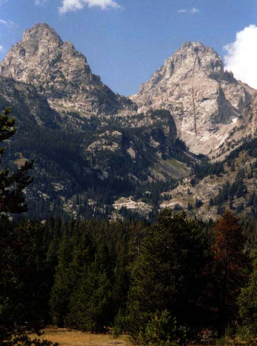 �~�h���e�B�[�g��