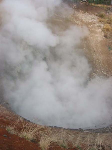 �}�b�h�{���P�[�m