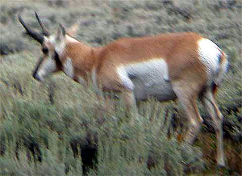 �v�����O�z�[��