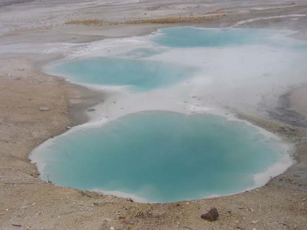 �|�[�Z���C���x�C�X��