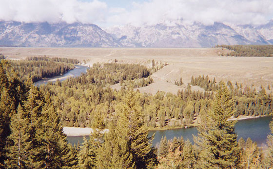 �X�l�C�N���o�[