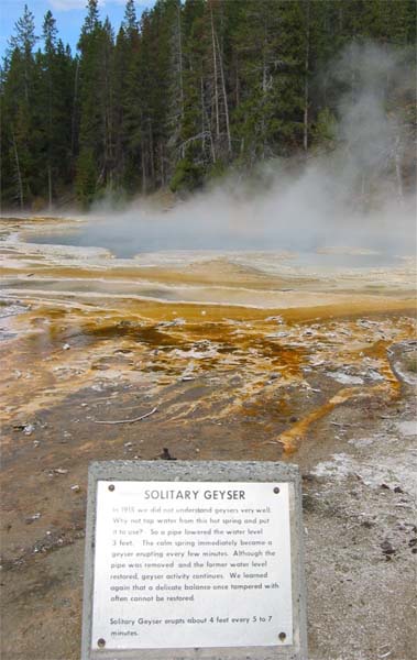 �\���^���[�K�C�U�[