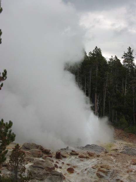 �X�e�B�[���{�[�g�K�C�U�[