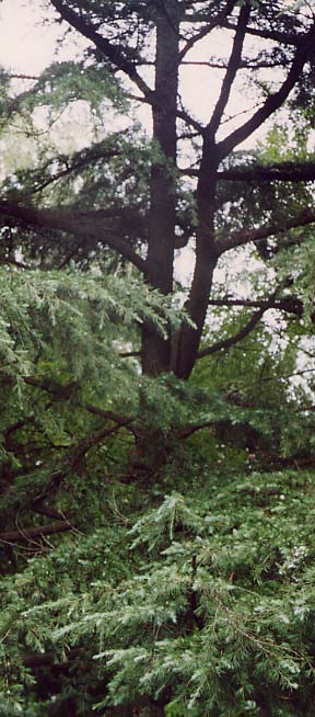 �q�}�����X�M