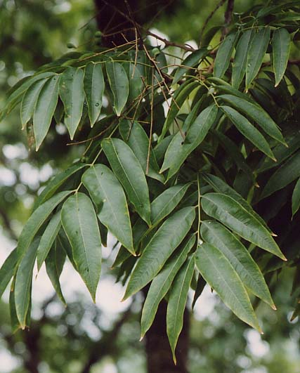 ���N���W