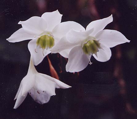 �A�}�]�������[