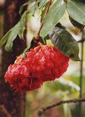 �I�I�z�E�J���{�N