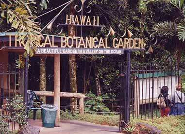 �n���C�M�ѐA����