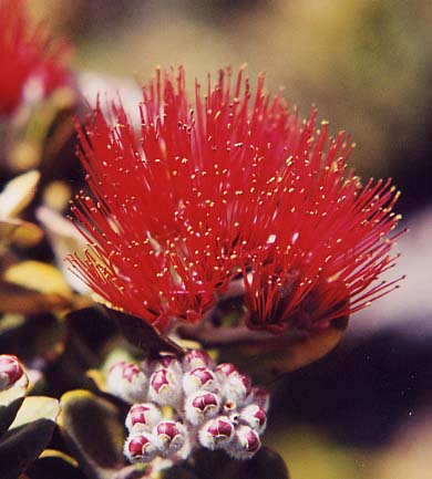 �I�q�A���t�A