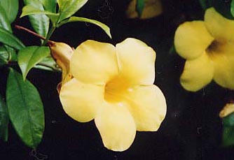 �I�I�A���A�P�J�Y��