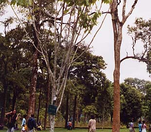 �A������