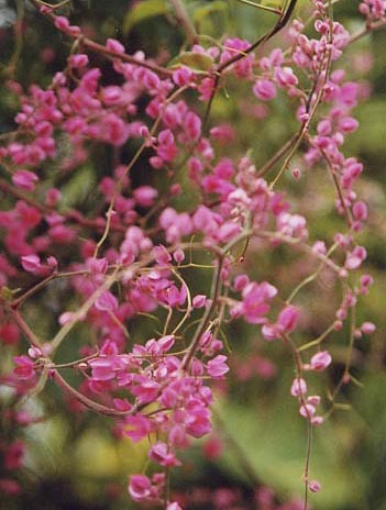 �A�T�q�J�Y��