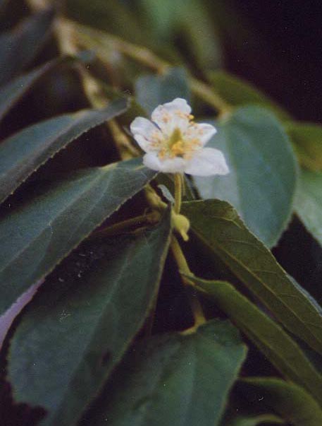 �i�����E�U�N��