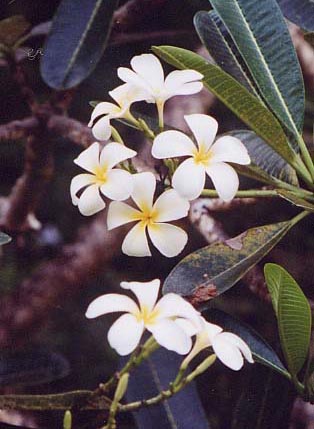 �v�������A