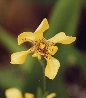 ���O�s���̉�