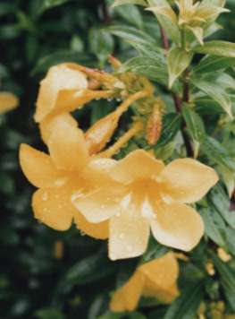 �A���}���_