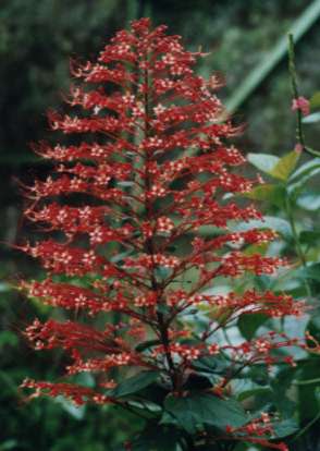 >�p�S�_�t�����[