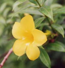 �A���}���_