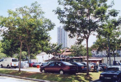 �V���K�|�[���̒��ԏ�