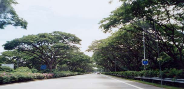 �������H