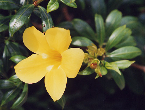 �A���}���_