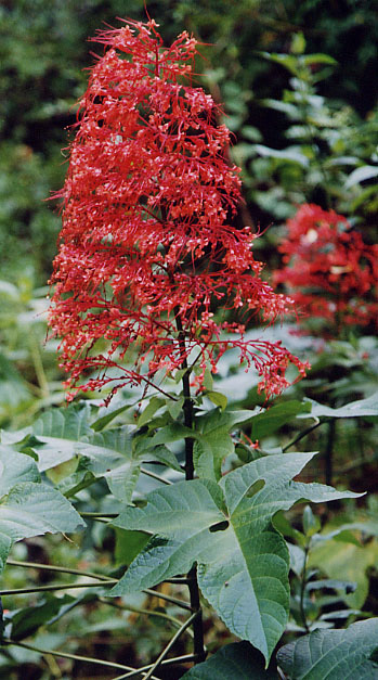 �p�S�_�t�����[