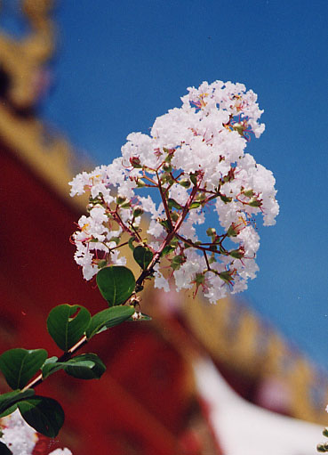 >�T���X�x��