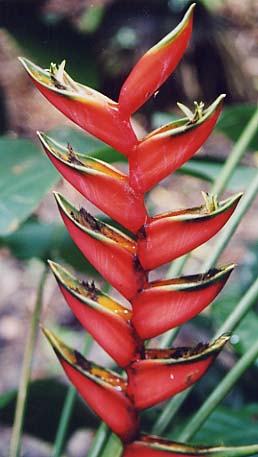 >�w���R�j�A